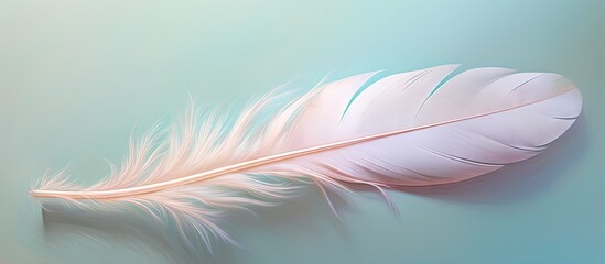 Birds white feather on a isolated pastel background Copy space