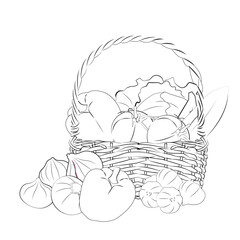 hand drawn illustration of vegetables