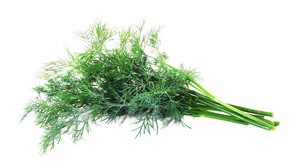 Sprigs of fresh dill isolated on white