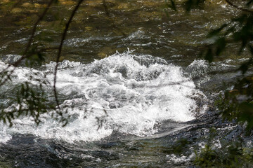 river whirlpool spinning up close