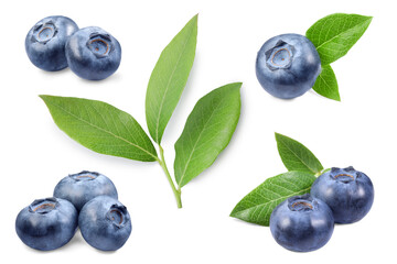 Set with fresh ripe blueberries and green leaves isolated in white