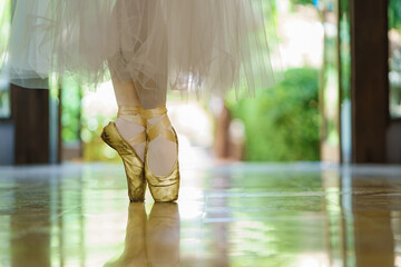 Close-up of a ballet dancer's feet as she practices point exercises.