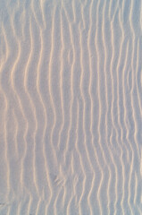 Beach sand pattern texture created by the wind in summer.