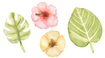 Watercolor tropical leaves and flowers illustration set