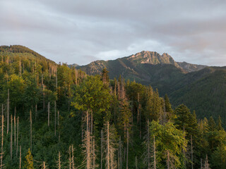 Mountain landscape in Zakopane Tatras, view of the Gievont rock from a drone at sunset in summer.