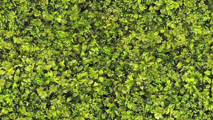 Obraz premium Leafy background. Seamless green background of plants. Seamless background of leaves