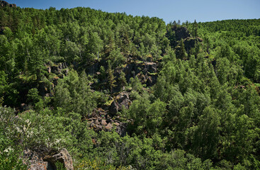 View on crooked tree on stony slope, mountain ravine beneath, sun behind tree.