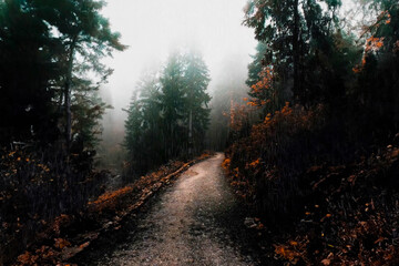 Fototapeta premium mountain autumn landscape with fog and rain