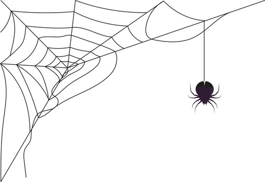 spiders that create webs randomly