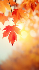 Fototapeta premium Red, orange, yellow leaves on bokeh background. Autumn wallpaper