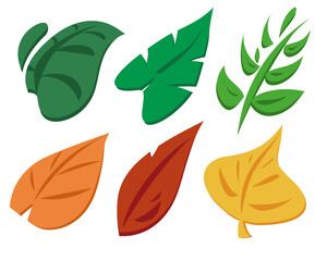 Set of leaves from different seasons (autumn, summer, spring)