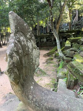 Beng Mealea, Angkor ruins, Siem Reap, Cambodia