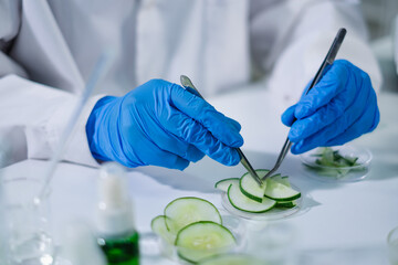 Close up of Scientist select cucumber seed, tissue for experiment or research of body skin care, cosmetic, treatment, serum or medical moisturizer essence. Developing quality of product in laboratory.