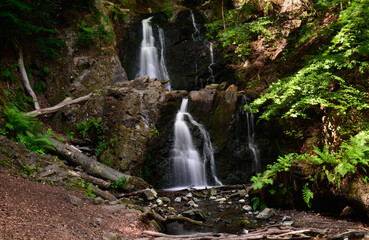 waterfall in the forest