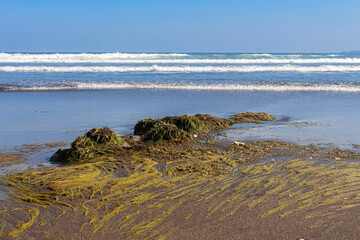 Seaweed and coral can be seen directly on the beach because the sea water is low tide in summer.