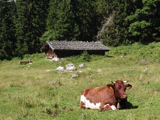 Bei der Kammerlingalm