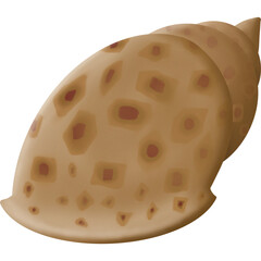 Fototapeta premium Piece of sweet clams 