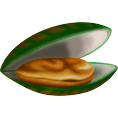 Mussel 