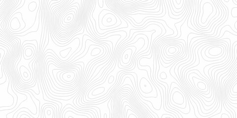 Background lines Topographic map. Geographic mountain relief. Abstract lines background. Contour maps. Vector illustration, Topo contour map on white background, Topographic contour lines.