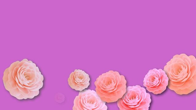 Animation, floral background, free copying.