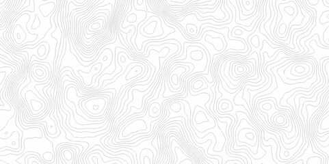 Background lines Topographic map. Geographic mountain relief. Abstract lines background. Contour maps. Vector illustration, Topo contour map on white background, Topographic contour lines.