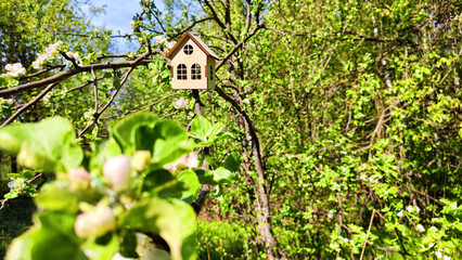 miniature toy house in apple flowers close up, spring natural background. symbol of family. mortgage, construction, rental, property concept. Eco Friendly home. soft selective focus, copy space