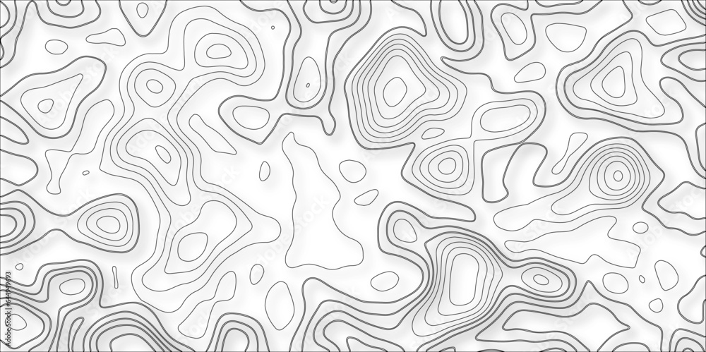Poster contour map background. vector geography scheme and terrain. topography grid map. stylized topograph