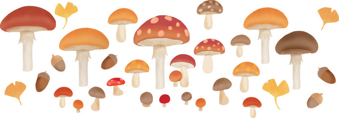 This is a picture of a mushroom I painted with the image of autumn