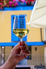 Drinking of cold spanish rueda verdejo white wine