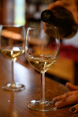 Tasting of variety of Spanish rioja wines, visit of winery cellars, Rioja wine making region, Spain