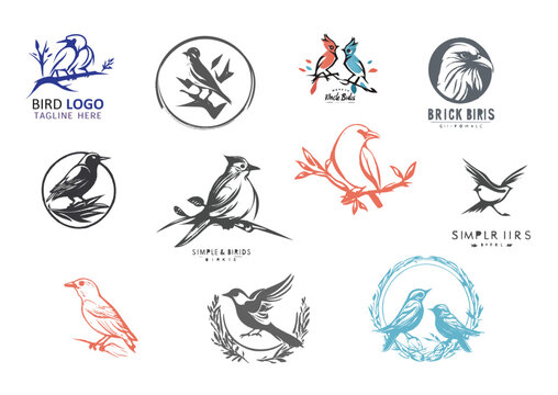 Vector flying birds logo, illustration, colorful style wording identity for business