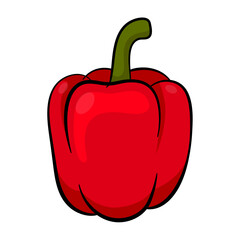 red capsicum bell pepper flat vector illustration modern design isolated on white background