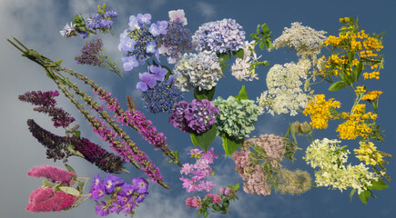 colorful summer flowers arranged on mirror reflecting blue sky