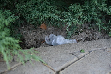 Close-up of a transparent plastic bag in a park, rubbish in a park, human impact on nature 