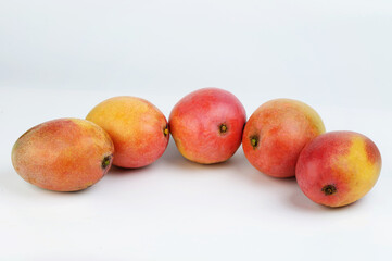 Harvest of riped red mango fruits