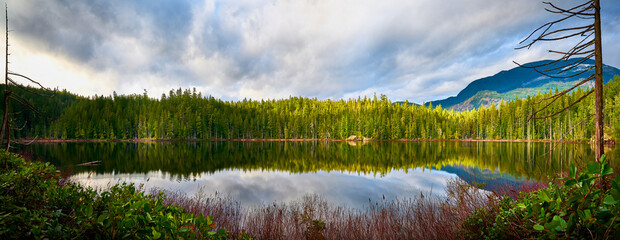 Beautiful forest Brown Lake. Scenic west coast rainforest. Hiking Trail in Skookumchuck Narrows Provincial Park. Sunshine Coast, British Columbia, Canada