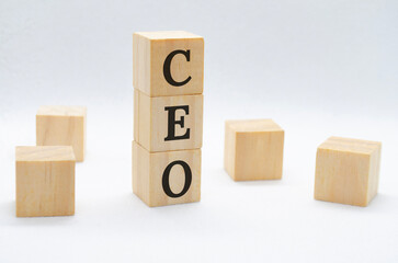 CEO text on wooden blocks on white background with customizable space for text or ideas. Business concept