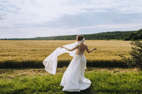 A beautiful bride in a white dress with a long veil stands against the background of a field of wheat outdoors. Wedding photography, portrait.