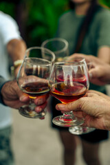Home Garden BBQ Party, Wine Glasses Clink in Family Toast, enjoying harvest time together outside at front of house, grandfather and grandfather asian people, man and woman