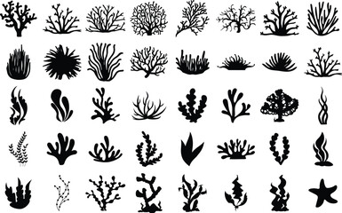 Big collection of oral silhouettes, isolated underwater elements vector 