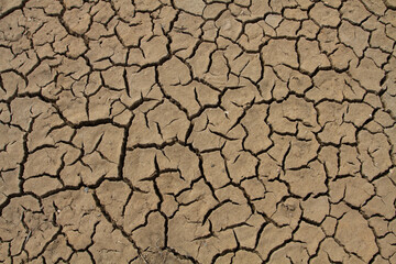 cracks in the dried soil formed a bizarre pattern