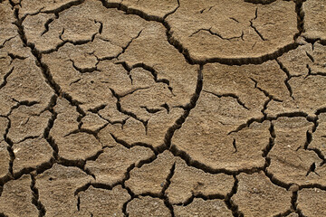 cracks on the surface of dried soil