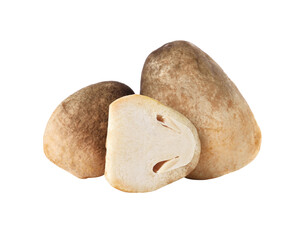 mushrooms transparent png