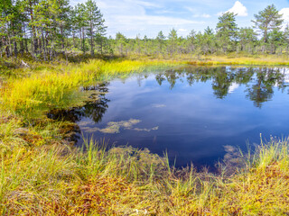 scenic lake in nature in the Laheema national park near Tallinn, Estonia