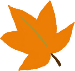 Maple leaf, colorful falling leaves, decoration element of nature in autumn.