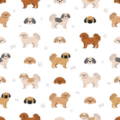 Peekapoo seamless pattern. Pekingese Poodle mix. Different coat colors set.