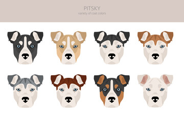 Obraz na płótnie Canvas Pitsky clipart. Pit bull terrier Siberian Husky mix. Different coat colors set