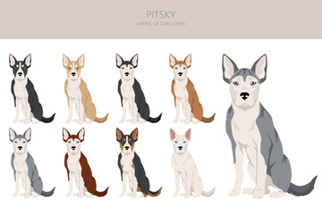 Pitsky clipart. Pit bull terrier Siberian Husky mix. Different coat colors set