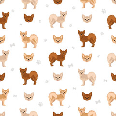 Pomchi seamless pattern. Pomeranian Chihuahua mix. Different coat colors se