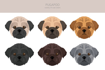Pugapoo clipart. Pug Poodle mix. Different coat colors set